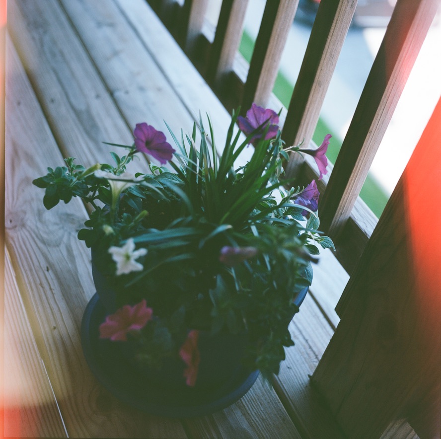 Chambersburg May 2024
Minolta AutoCord